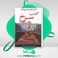 دانلود کتاب سرخ کارل گوستاو یونگ ترجمه محمدرضا اخلاقی منش (PDF📁) 420 صفحه