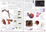 دانلود کتاب زیست شناسی (1) پایه دهم مجید علی نوری (PDF📁) 168 صفحه-1