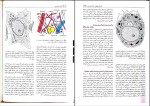 دانلود کتاب بافت شناسی جعفر سلیمانی راد (PDF📁) 322 صفحه-1