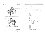 دانلود کتاب حرکت شناسی فریدون تندنویس (PDF📁) 286 صفحه-1