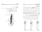 دانلود کتاب حرکت شناسی فریدون تندنویس (PDF📁) 286 صفحه-1