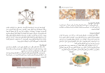 دانلود کتاب راهنمای معلم آزمایشگاه علوم تجربی یازدهم (PDF📁) 280 صفحه-1