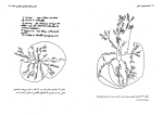 دانلود کتاب معجزه ذهن تونی باز (PDF📁) 185 صفحه-1