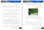 دانلود کتاب دنیای زیر آب سمانه معزی (PDF📁) 190 صفحه-1