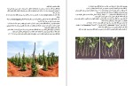 دانلود کتاب فلفل سیاه سلطان ادویه ها اسماعیل پور کاظم (PDF📁) 57 صفحه-1