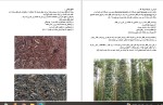 دانلود کتاب فلفل سیاه سلطان ادویه ها اسماعیل پور کاظم (PDF📁) 57 صفحه-1