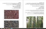 دانلود کتاب فلفل سیاه سلطان ادویه ها اسماعیل پور کاضم (PDF📁) 57 صفحه-1