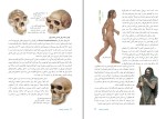 دانلود کتاب فرگشت و ژنتیک بهنام محمد پناه (PDF📁) 113 صفحه-1