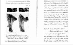 دانلود کتاب مبدا نژاد های انسان میخائیل نستورخ (PDF📁) 112 صفحه-1