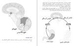 دانلود کتاب دنیای شگفت انگیز مغز هدیه تقوی (PDF📁) 240 صفحه-1