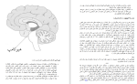 دانلود کتاب دنیای شگفت انگیز مغز هدیه تقوی (PDF📁) 240 صفحه-1