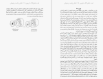 دانلود کتاب ایده خطرناک داروین دنیل دنت (PDF📁) 553 صفحه-1
