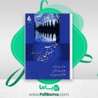 دانلود کتاب تناسب مفهومی و قرابت معنایی هامون سبطی (PDF📁) 369 صفحه