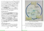 دانلود کتاب زبان تخصصی برای دانشجویان کامپیوتر منوچهر حقانی (PDF📁) 235 صفحه-1