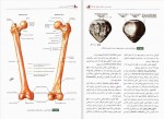 دانلود کتاب آناتومی عمومی (PDF📁) 343 صفحه-1