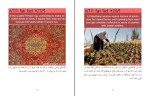 برای بزرگنمایی کلیک کنید دانلود کتاب حقایق شگفت انگیز علمی جلد اول احسان کوثری نیا (PDF📁) 63 صفحه-1