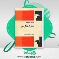دانلود کتاب کارلوس کاستاندا سفر به دیگر سو دل آرا قهرمان پتگر (PDF📁) 320 صفحه