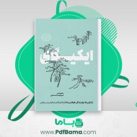 دانلود کتاب ایکیگای امیرحسین تقیلوو میثم کلانتری (PDF📁) 292 صفحه