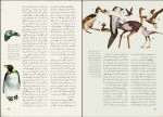 برای بزرگنمایی کلیک کنید دانلود کتاب دانشنامۀ عمومی 1 جهان گیاهان و جانوران محمود بهزاد (PDF📁) 136 صفحه-1