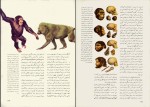 برای بزرگنمایی کلیک کنید دانلود کتاب دانشنامۀ عمومی 1 جهان گیاهان و جانوران محمود بهزاد (PDF📁) 136 صفحه-1