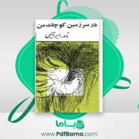 دانلود کتاب در سرزمین کوچک من نادر ابراهیمی (PDF📁) 234 صفحه