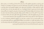 دانلود کتاب فرزانگی در عصر تفرقه الیف شافاک (PDF📁) 63 صفحه-1