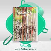 دانلود کتاب ژان کریستف جلد دوم رومن رولان (PDF📁) 554 صفحه