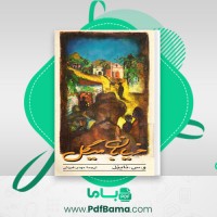 دانلود کتاب خیابان میگل و.س.نایپل (PDF📁) 189 صفحه